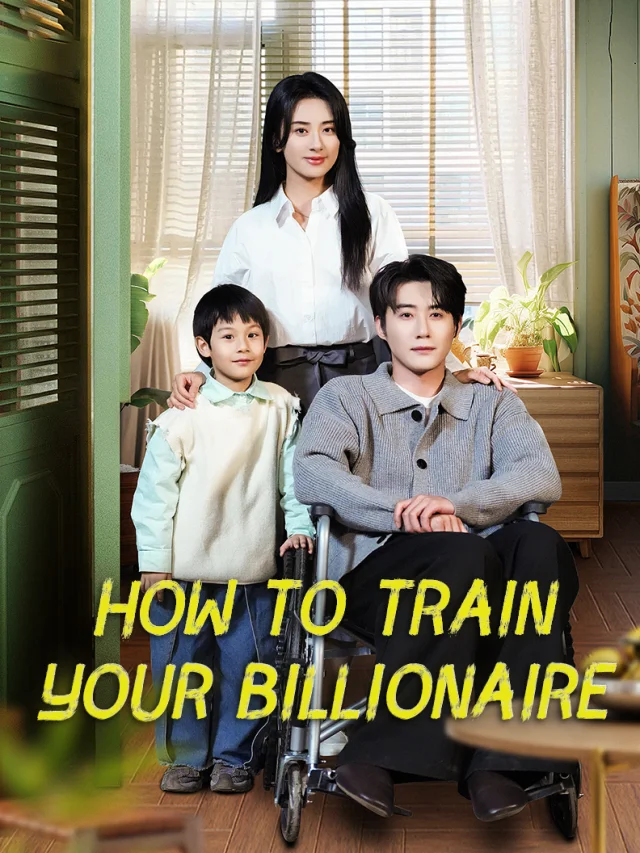 How to Train Your Billionaire poster