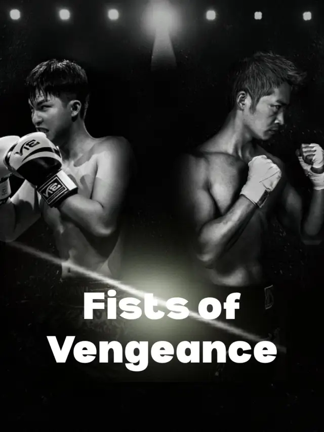 Fists of Vengeance poster