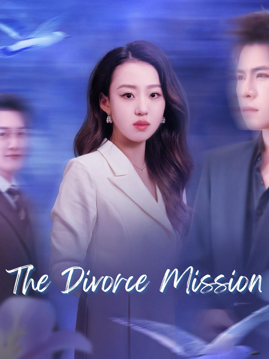 The Divorce Mission poster