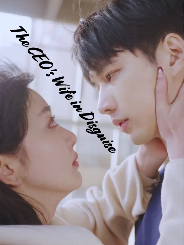 The CEO's Wife in Disguise poster