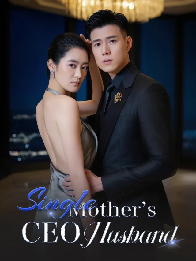 Single Mother's CEO Husband poster
