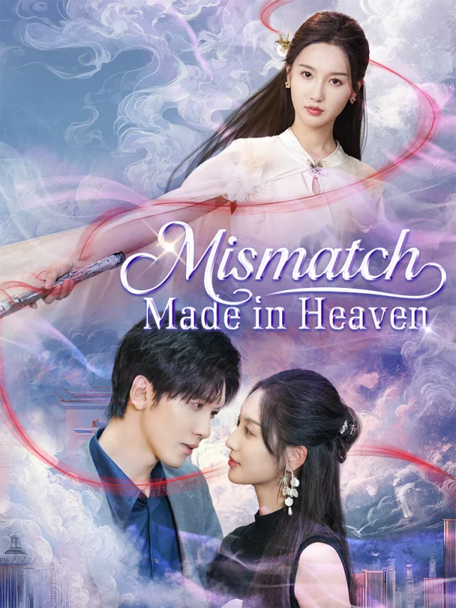 Mismatch Made in Heaven poster