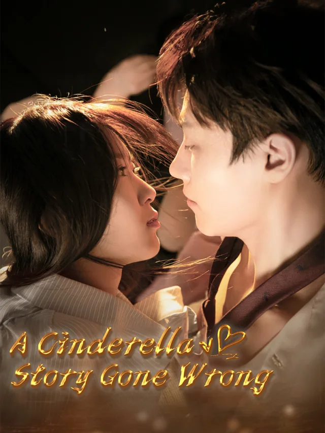 A Cinderella Story Gone Wrong poster