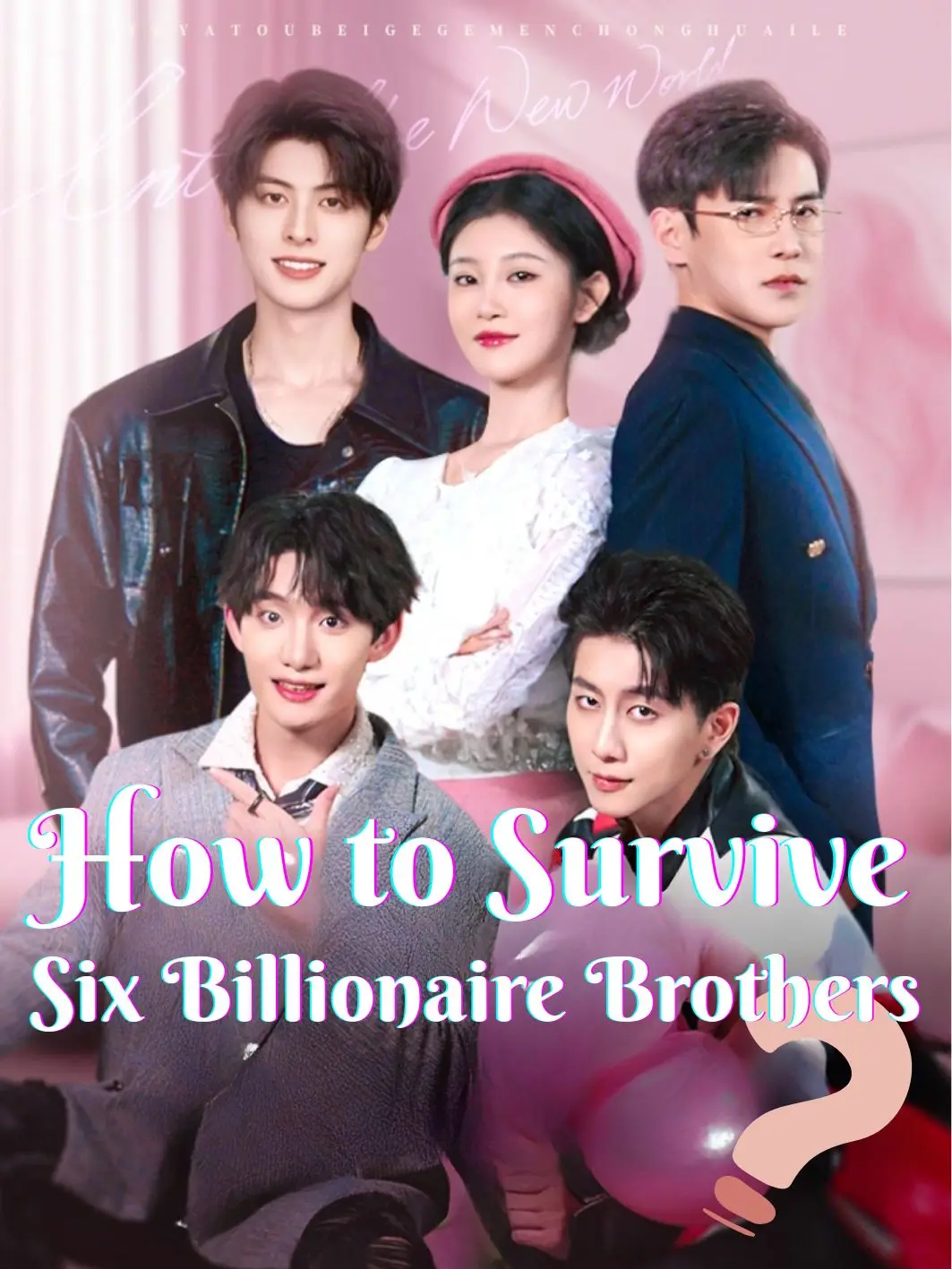 How to Survive Six Billionaire Brothers poster