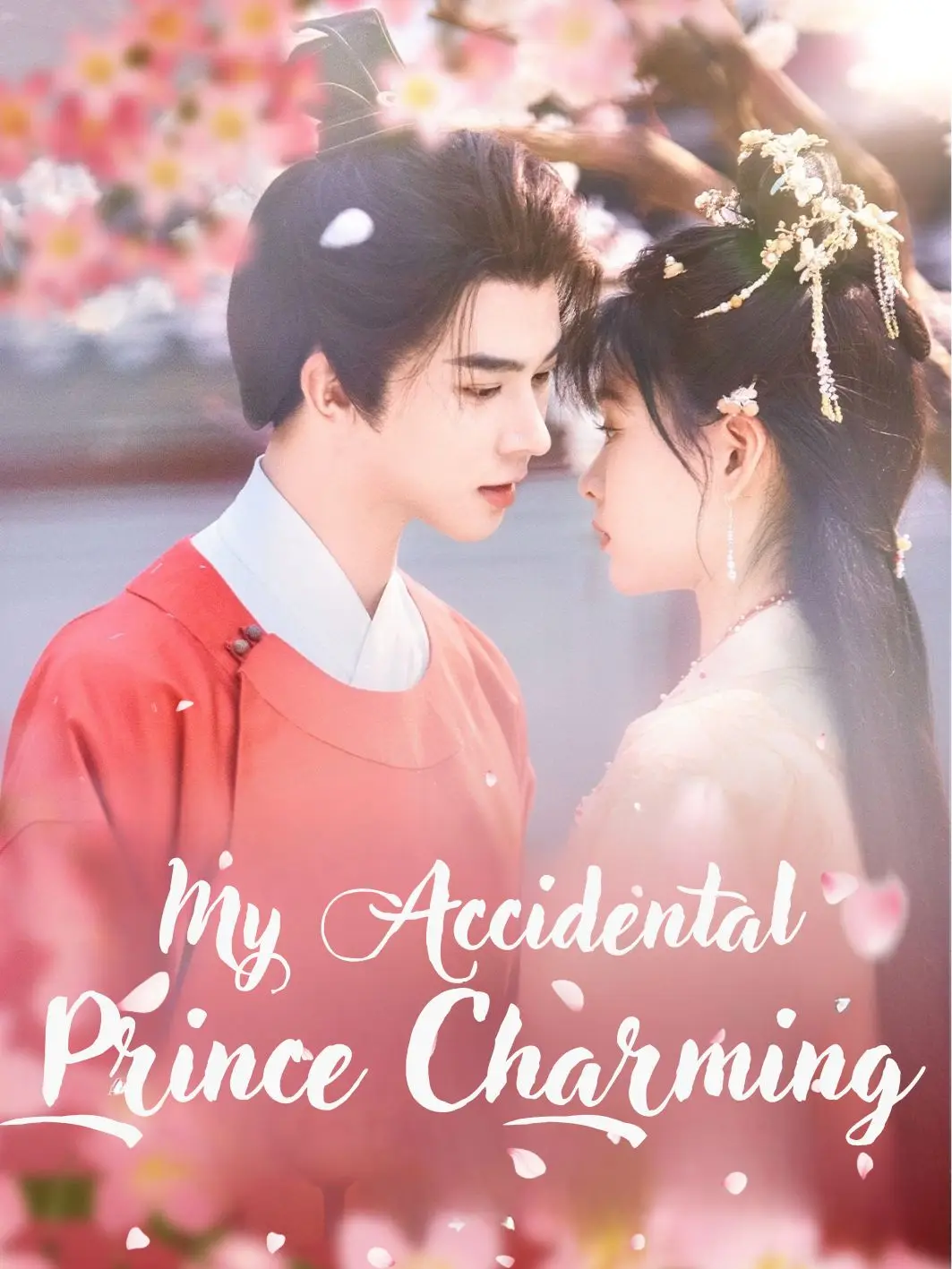My Accidental Prince Charming poster