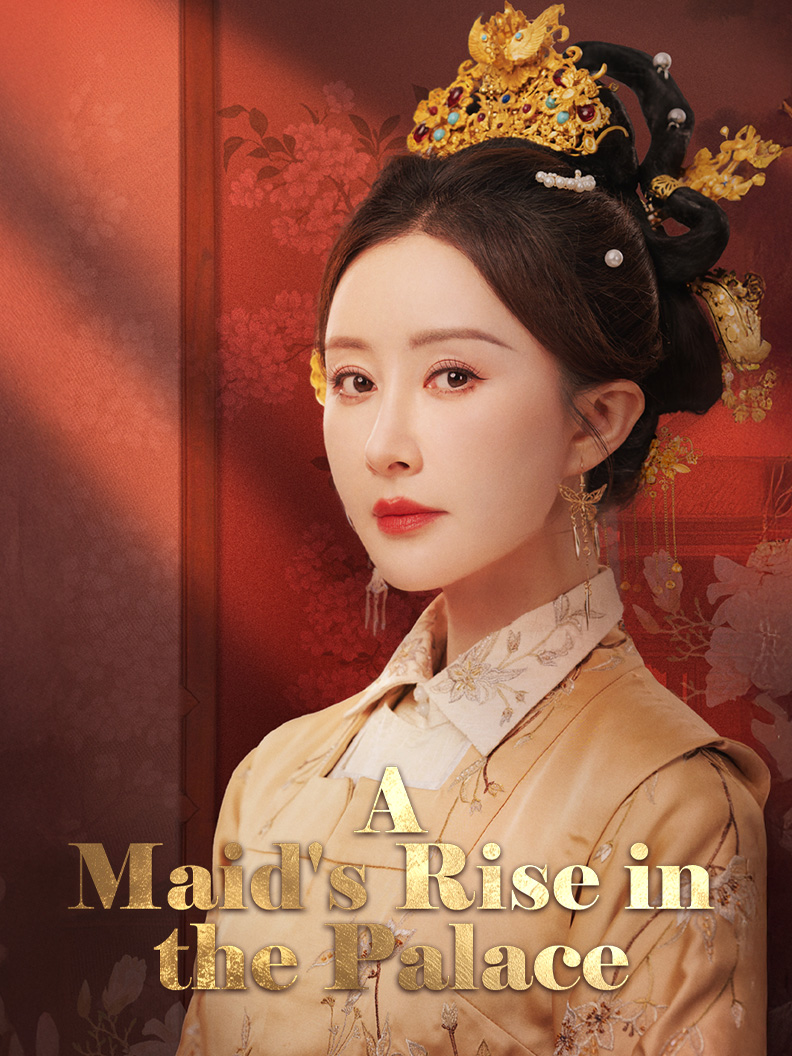 A Maid's Rise in the Palace poster