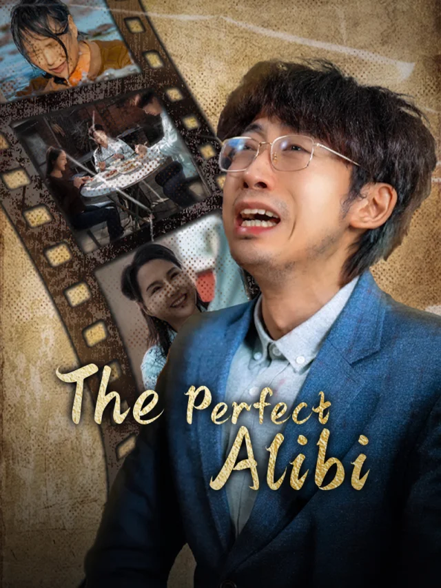 The Perfect Alibi poster