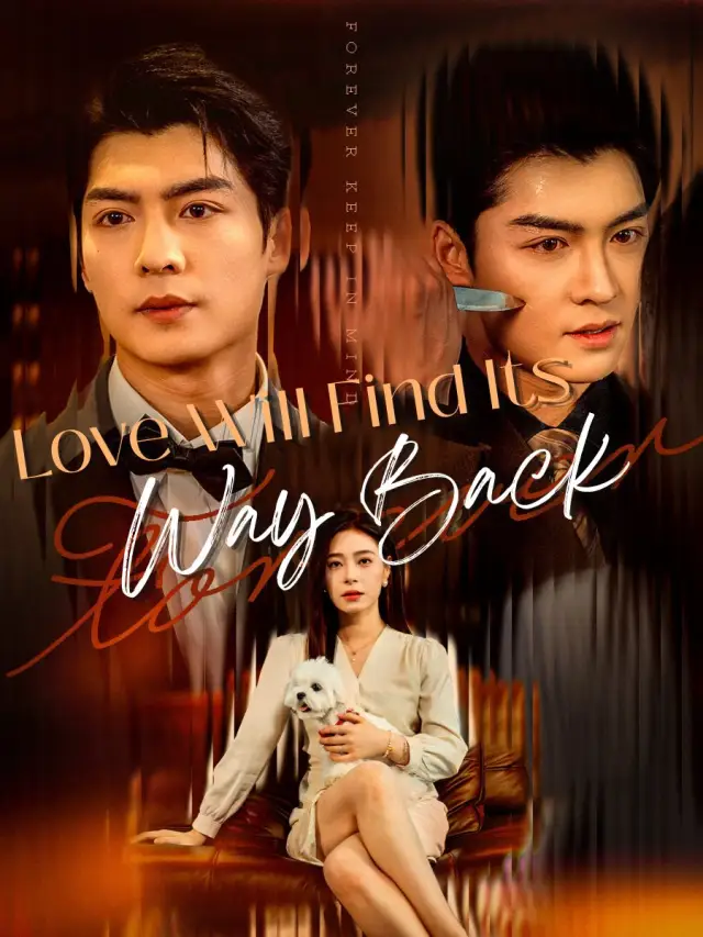 Love Will Find Its Way Back poster