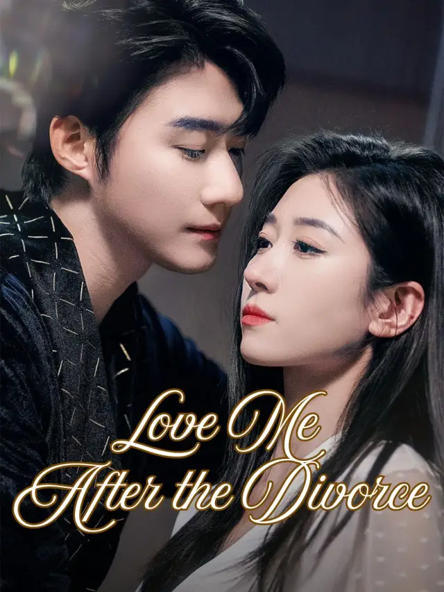 Love Me After the Divorce poster
