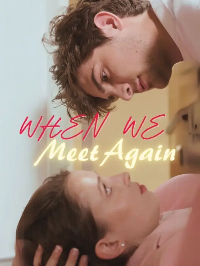 When We Meet Again cover