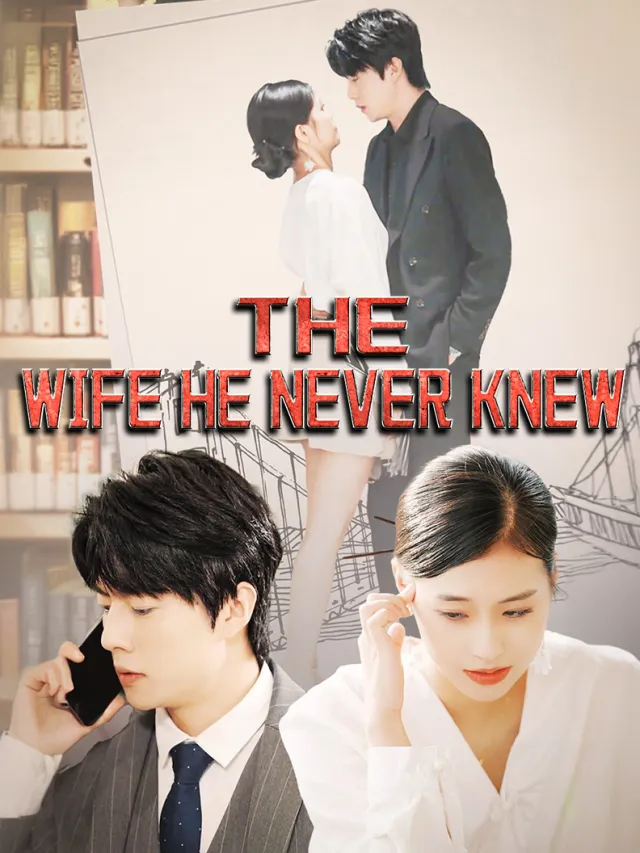 The Wife He Never Knew poster
