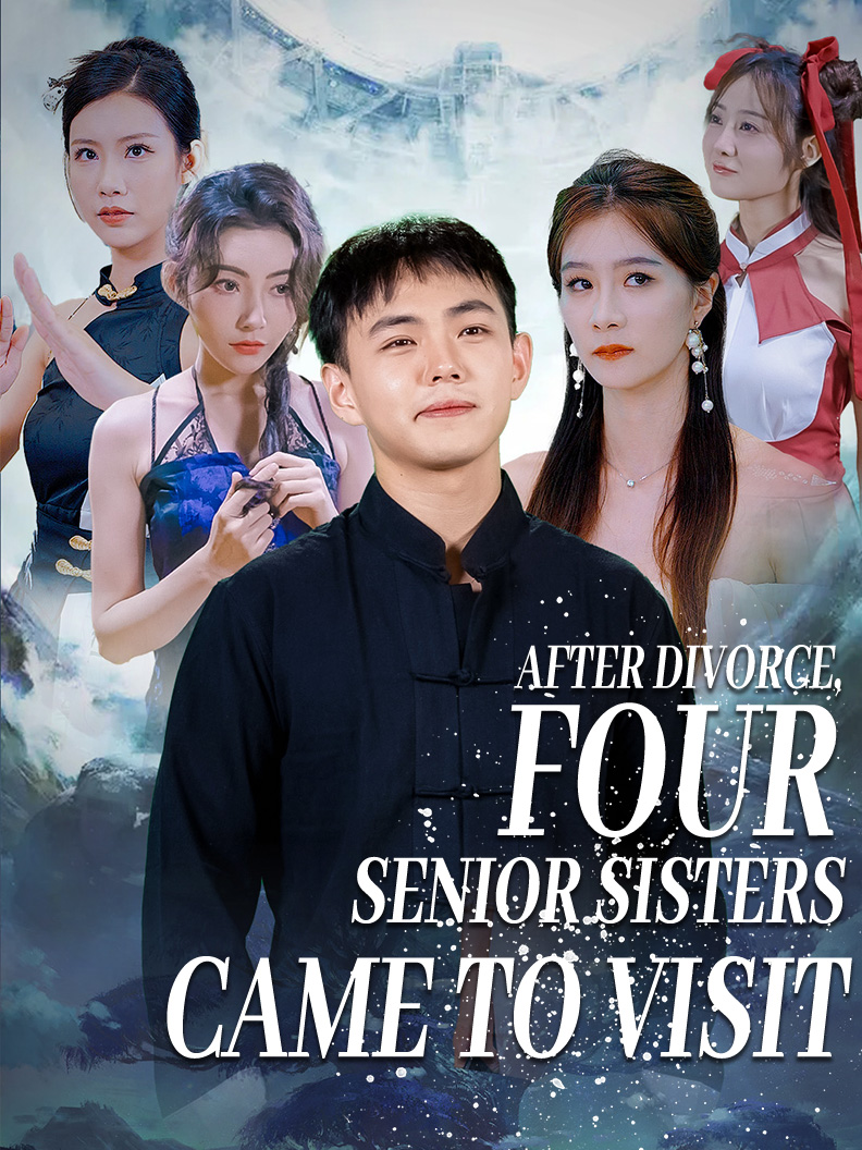 After Divorce, Four Senior Sisters Came to Visit poster