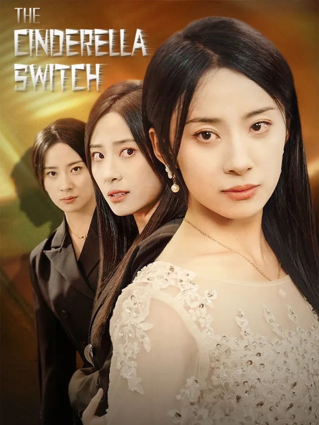 The Cinderella Switch poster