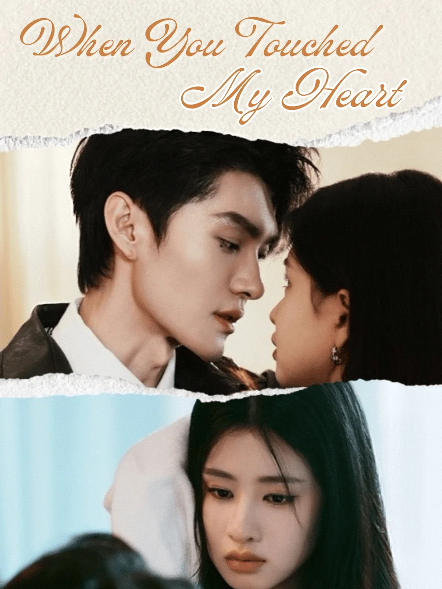When You Touched My Heart poster