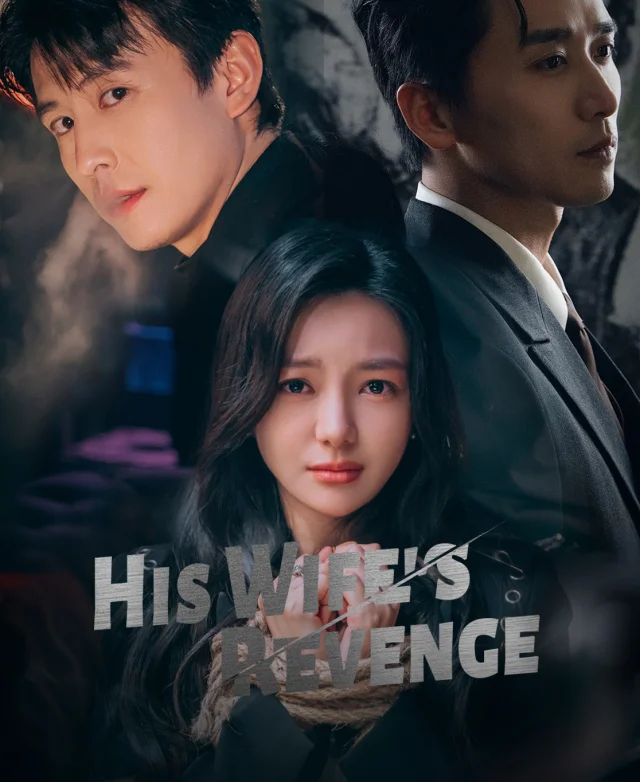 His Wife's Revenge poster