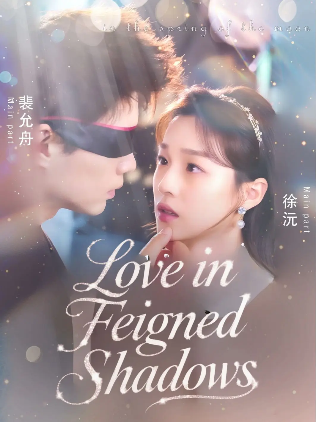 Love in Feigned Shadows poster
