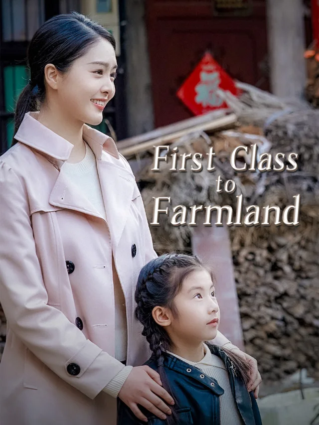 From Stewardess to Savior poster