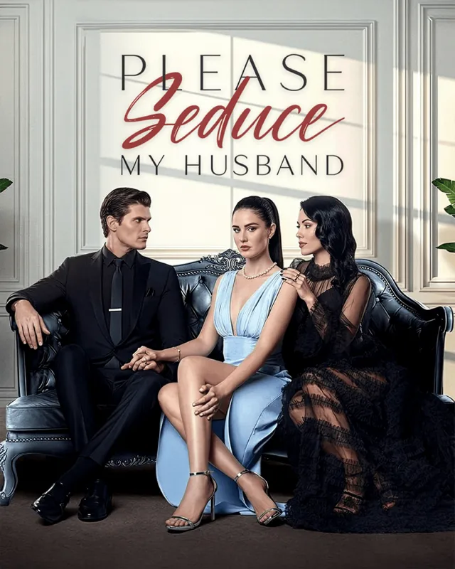 Please Seduce My Husband cover