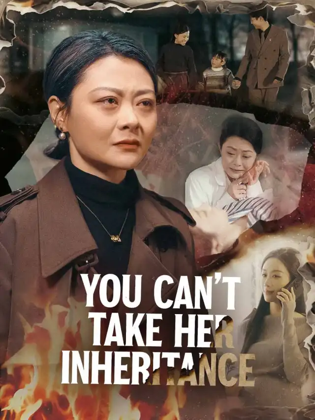 You Can't Take Her Inheritance poster