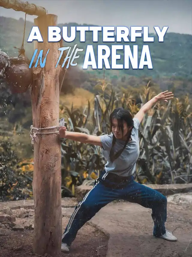 A Butterfly in the Arena poster