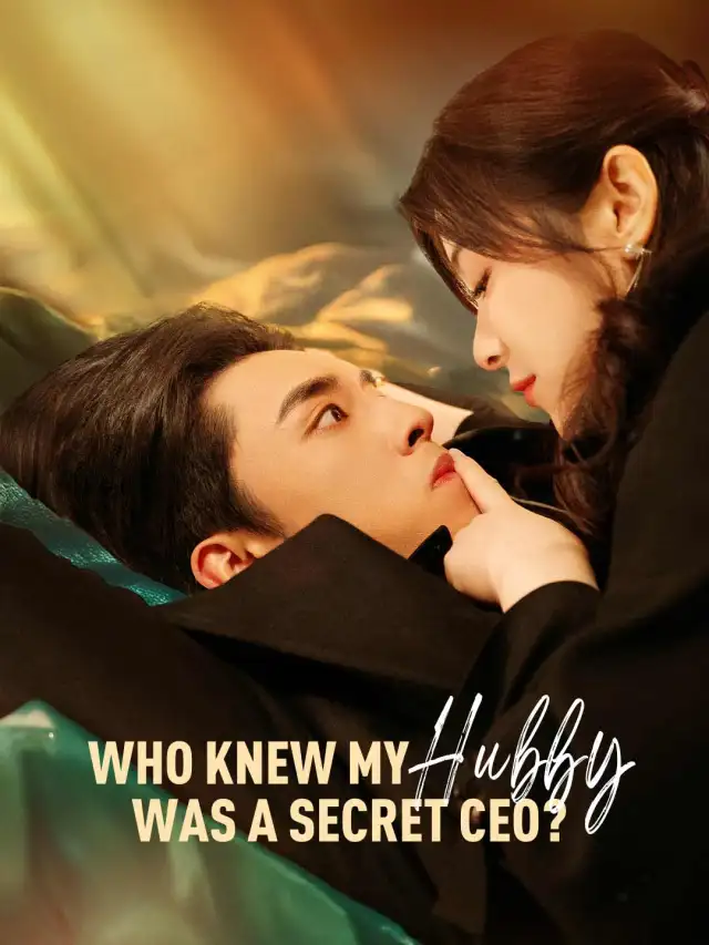 Who Knew My Hubby Was A Secret CEO? poster