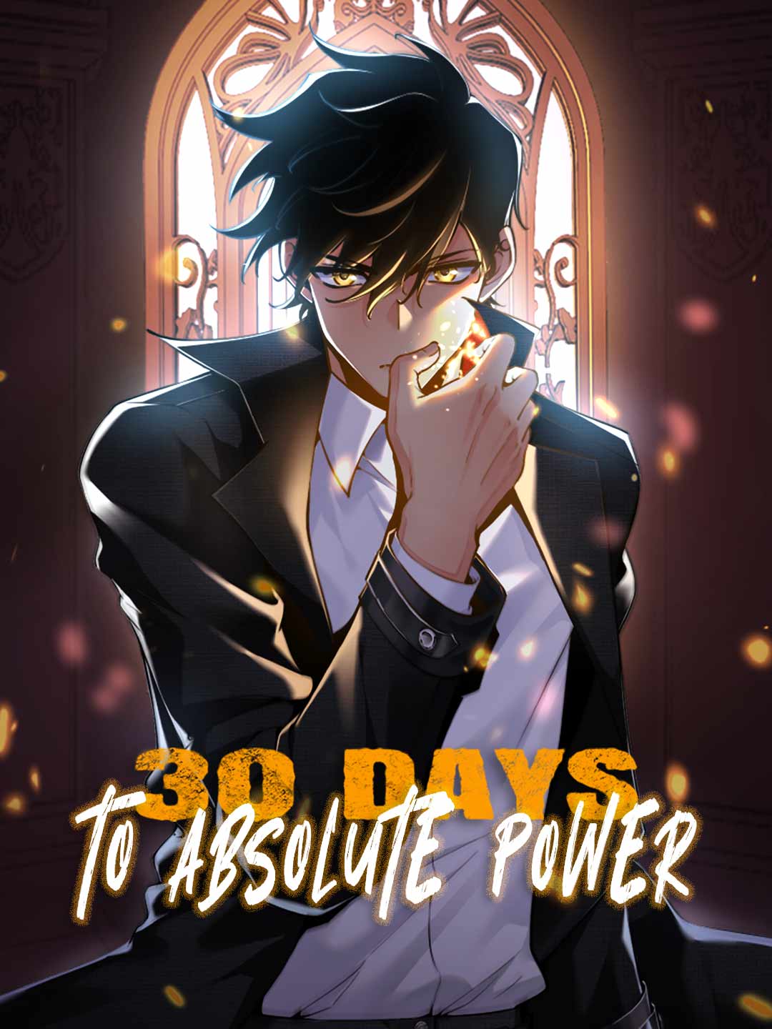 30 Days To Absolute Power poster