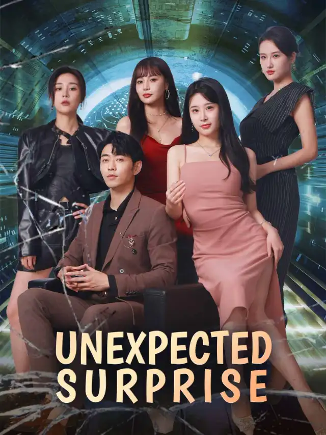 Unexpected Surprise poster