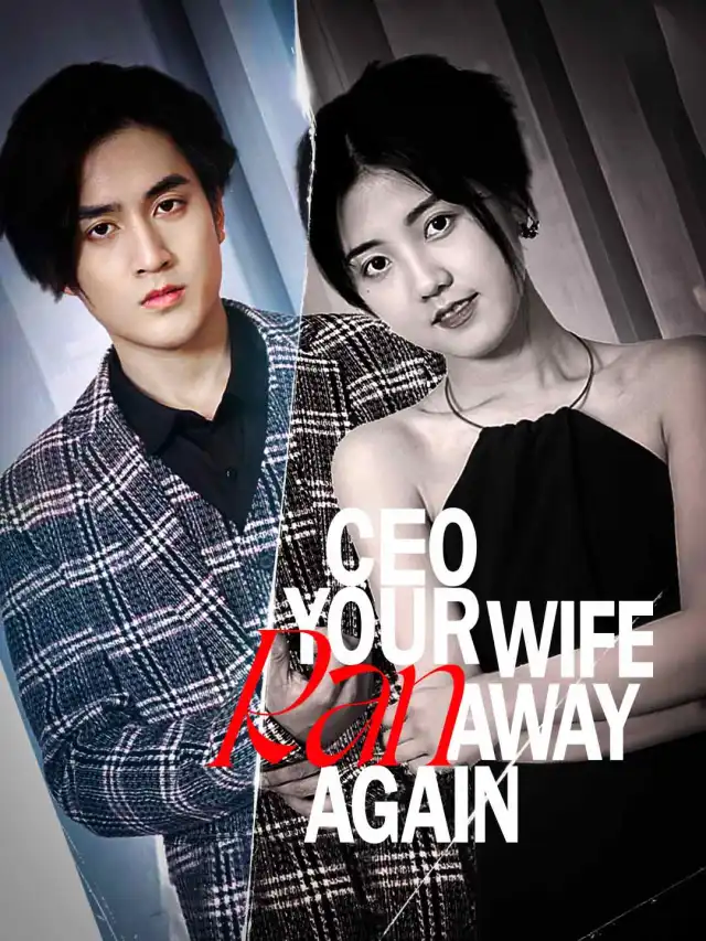 CEO, Your Wife Ran Away Again poster