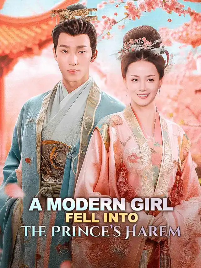 When a Morden Girl Fell Into the Prince's Harem poster