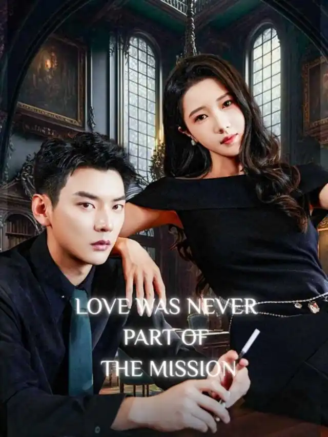 Love Was Never Part of the Mission cover