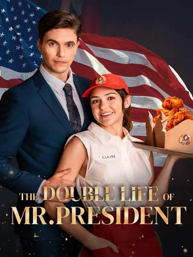 The Double Life of Mr President cover