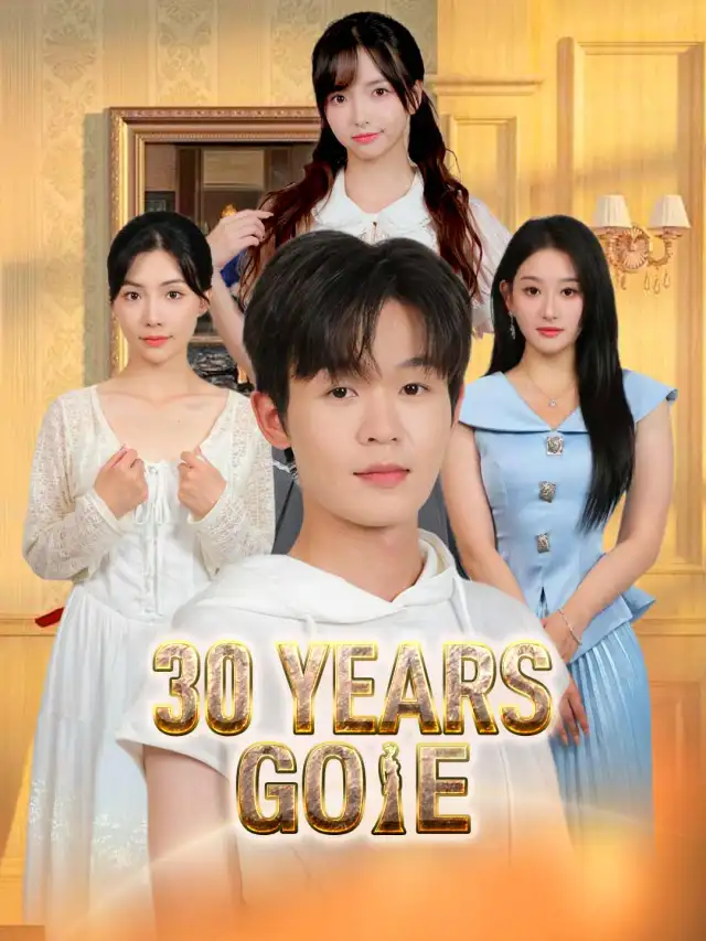 30 Years Gone poster