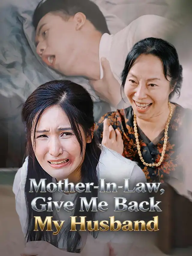 Mother-In-Law, Give Me Back My Husband poster