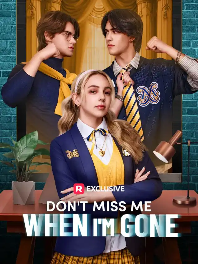 Don't Miss Me When I'm Gone cover