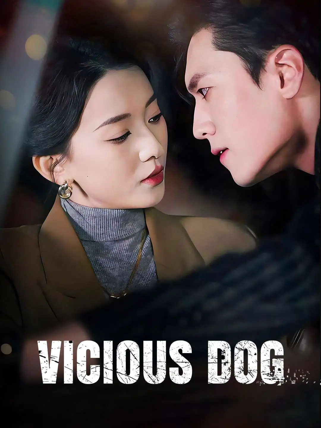 Vicious Dog poster