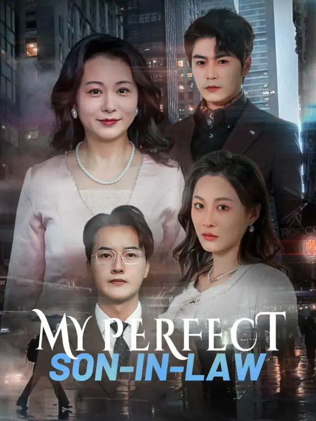 My Perfect Son-in-Law poster