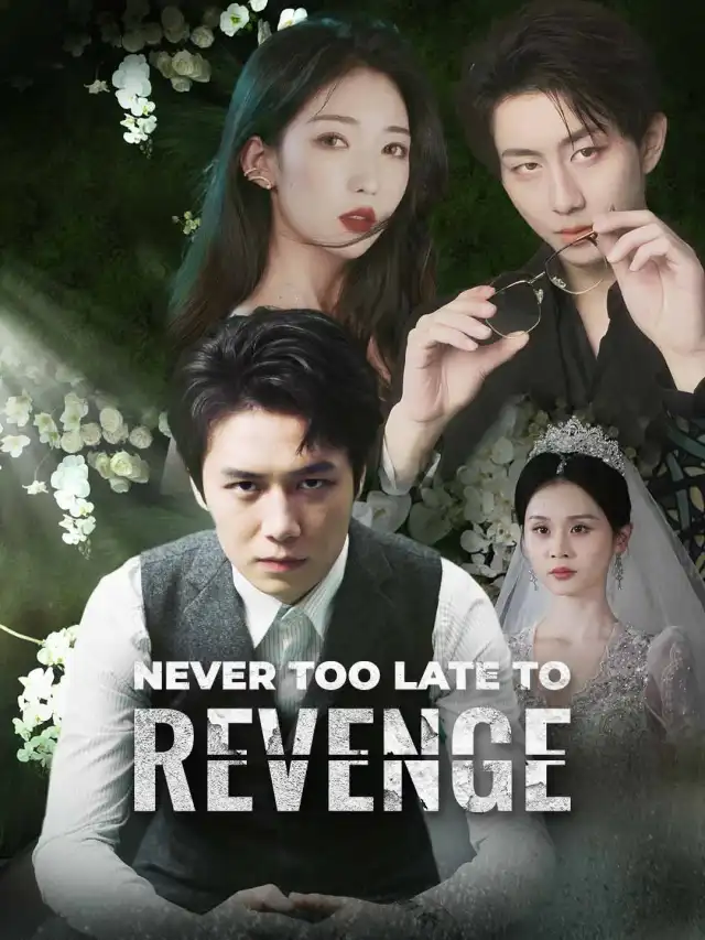 Never Too Late to Revenge (English-dubbed) cover