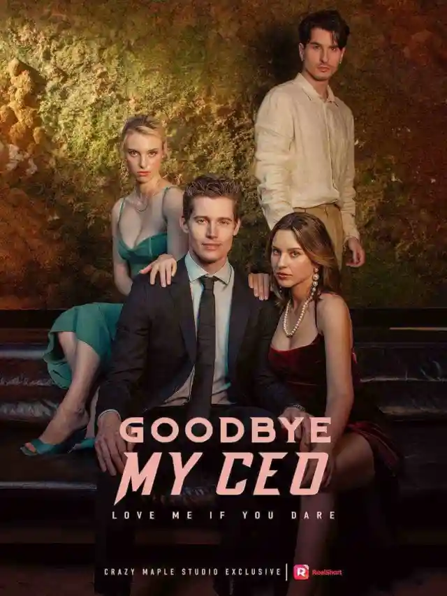 Goodbye, My CEO poster