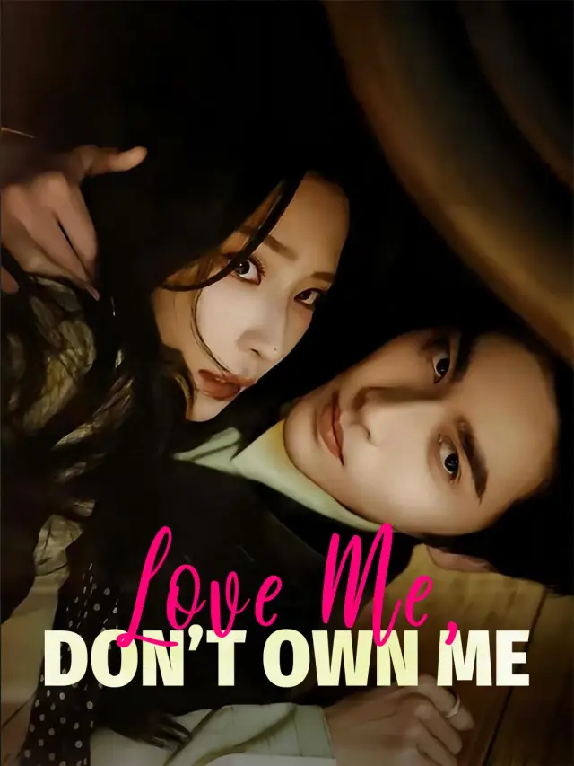 Love Me, Don't Own Me poster