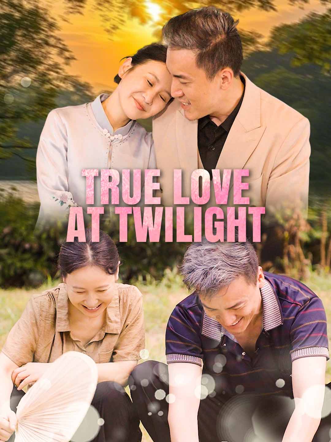 True Love at Twilight poster