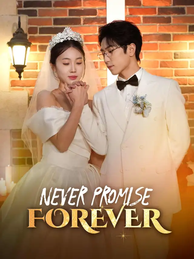 Never Promise Forever poster