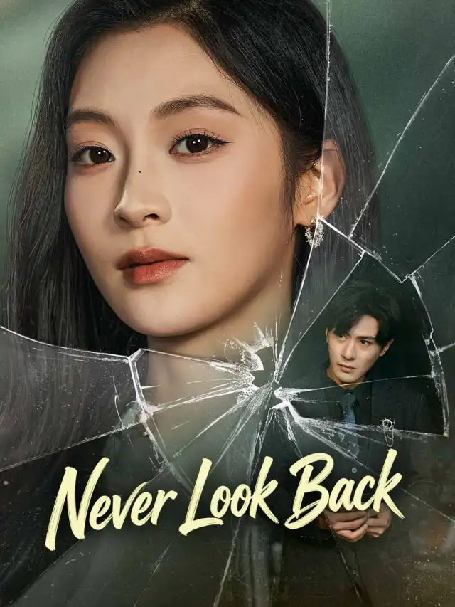 Never Look Back poster