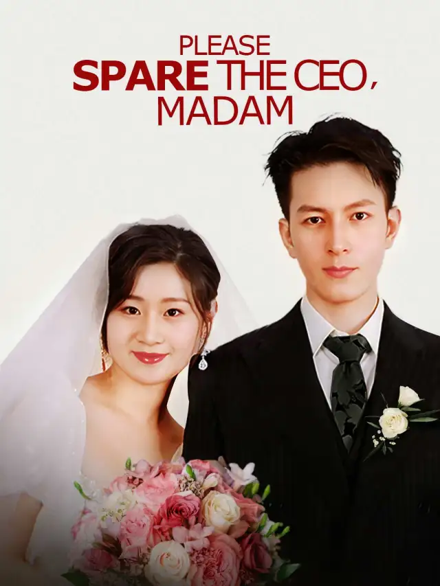 Please Spare the CEO, Madam poster