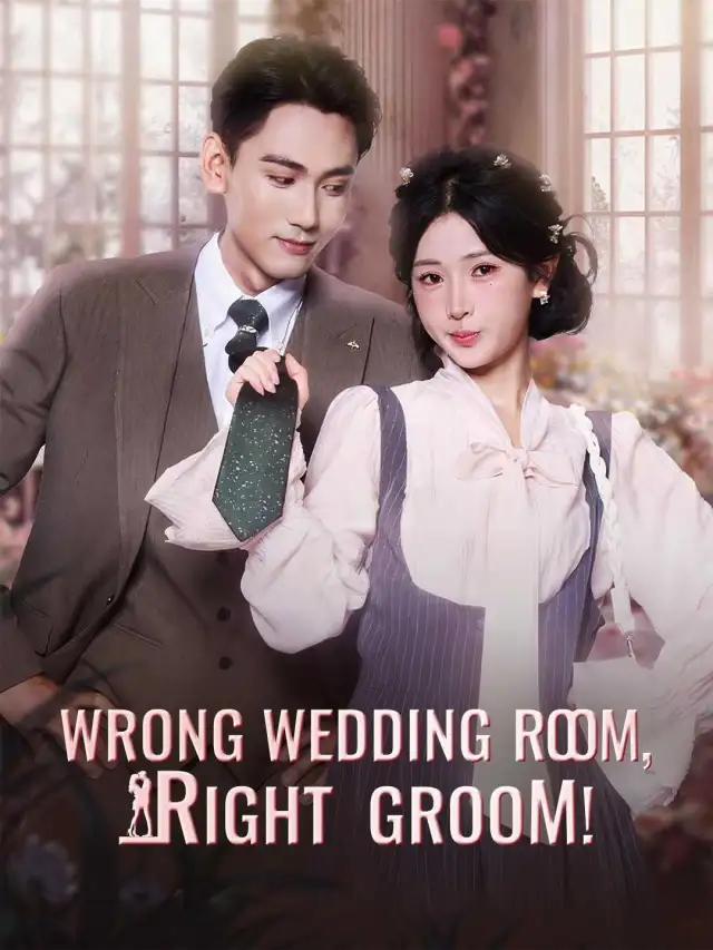 Wrong Wedding Room, Right Groom! poster