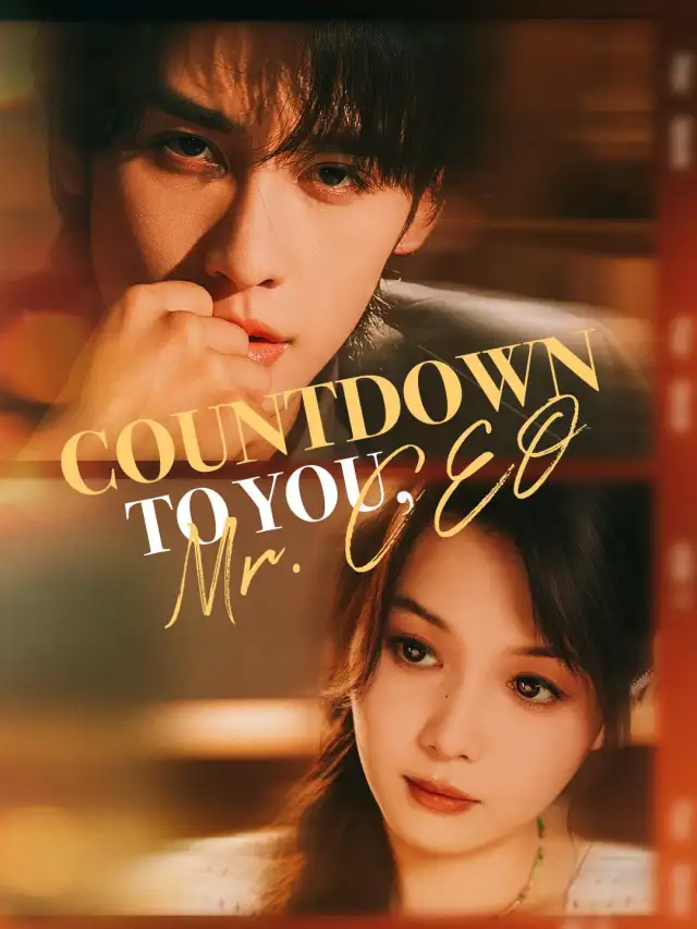 Countdown to You, Mr. CEO poster