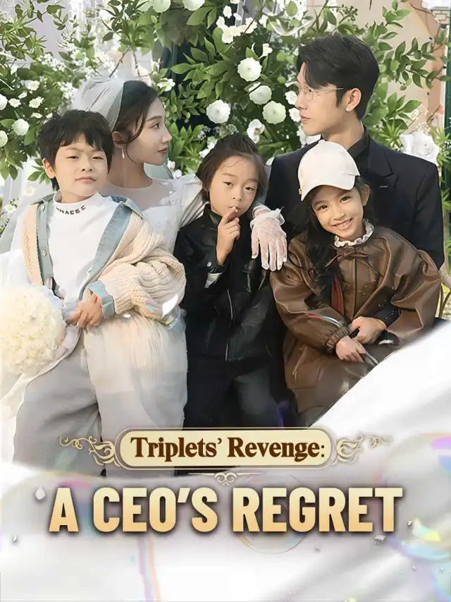 Triplets' Revenge: A CEO’s Regret cover
