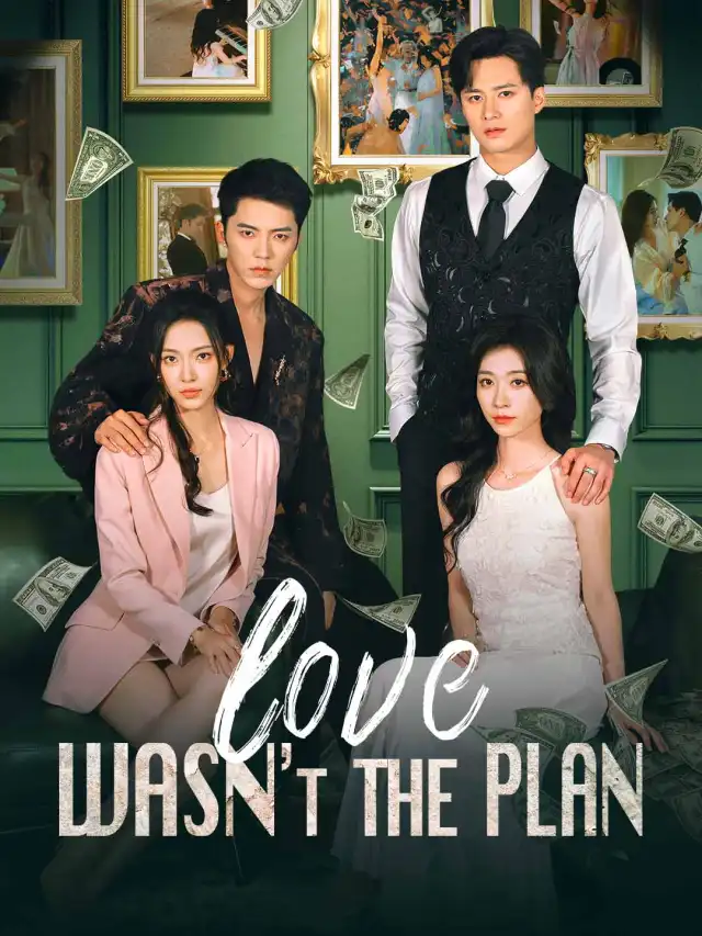 Love Wasn't the Plan poster