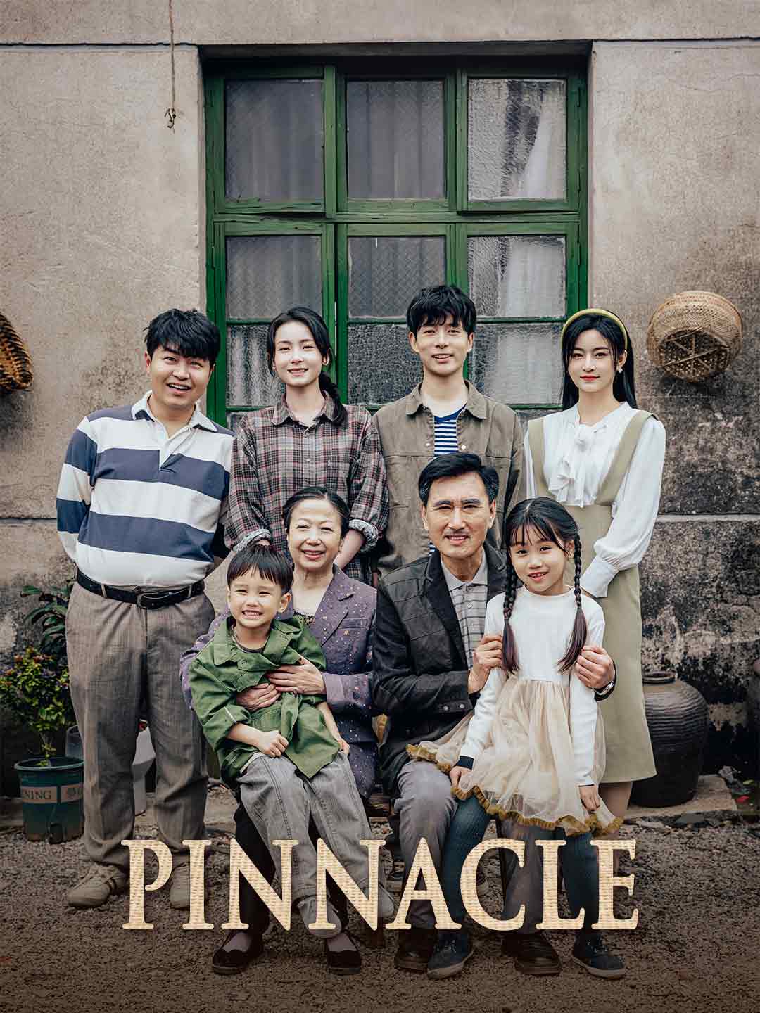 Pinnacle poster