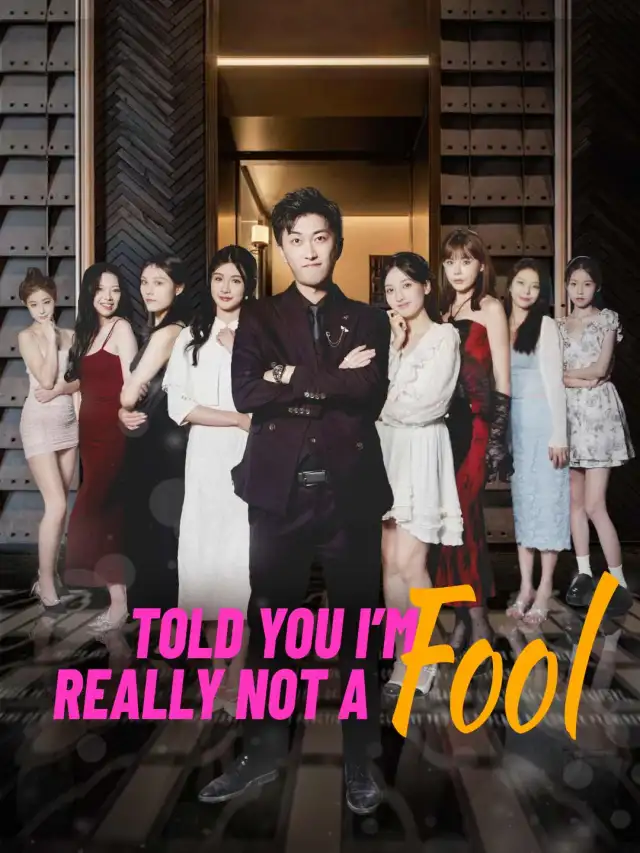 Told You: I'm Really Not a Fool poster