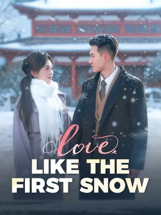 Love, Like the First Snow poster